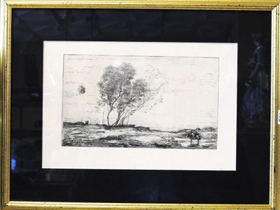a picture of a picture of a tree in a field