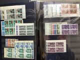 a lot of different stamps on display in a case
