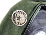 a close up of a green uniform with a silver emblem on it