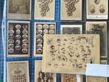 a lot of old photos on the table together