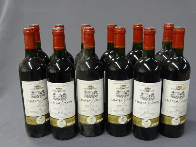 BORDEAUX, CHATEAU JAMIN, 12 bouteilles de 2005