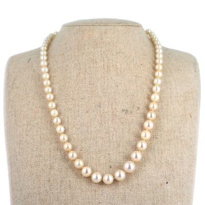 gros plan d'un collier sur un mannequin mannequin
