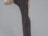 an image of a bird on a branch with a hat on it