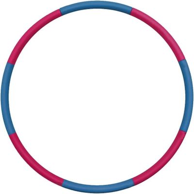 a pink and blue hula hoop on a white background