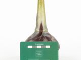 a bottle that has a green card in front of it