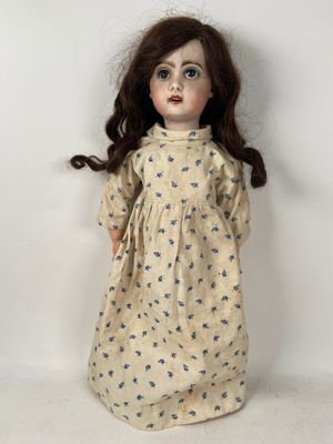 an image of a doll with long brown hair wearing a dress
