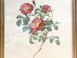 painting of a pink rose with green leaves and a red bug