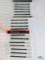 Lot de 20 tarauds machine. - Ce lot chez vous partout en Fra… (photo 2)