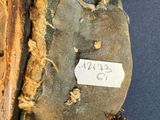 a close up of a baseball glove with a tag on it