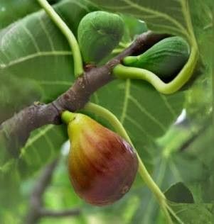 Destockage & Invendus