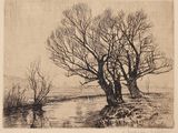 une image représentant deux arbres au bord d'une rivière