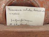 Photo 5/6 du lot