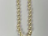 a pearl necklace with a gold clasp on a white background