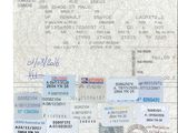 an image of a picture of a passport card with a picture of a plane
