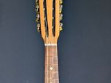 a close up of a guitar on a black background