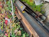 a cat that is sitting on the rail of a rail