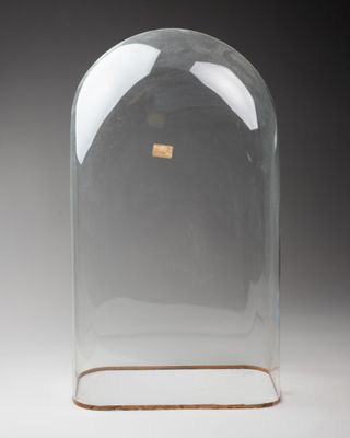 une image représentant une cloche en verre transparent posée sur un socle en bois