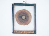 a picture of a picture of a flower in a frame
