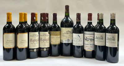 six bouteilles de vin sont alignées sur une surface blanche