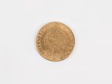 an image of a gold coin on a white surface