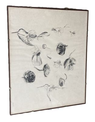 a drawing of birds and flowers on a piece of paper