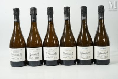 six bouteilles de vin posées les unes à côté des autres sur une table