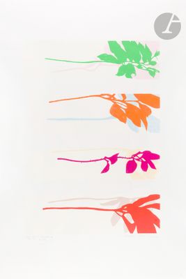 four different colored flowers on a white background with a white background