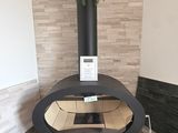 a plant that is sitting on top of a stove