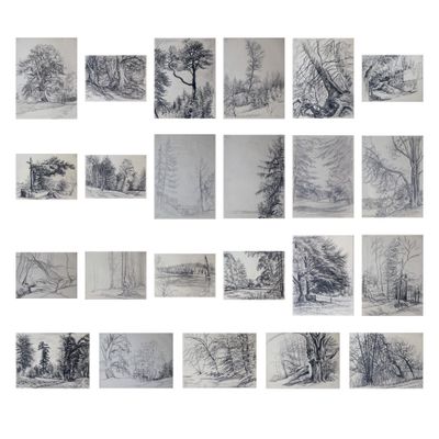 une image représentant plusieurs dessins d'arbres dans un champ