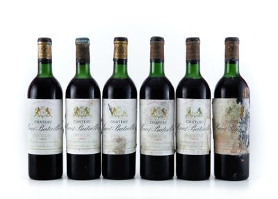 six bouteilles de vin sont alignées sur une surface blanche