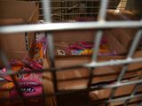 a box full of candy and candy bars in a cage
