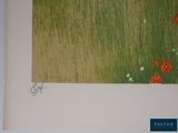 a picture of a picture of a field with red poppies