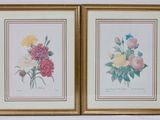 deux tableaux représentant des fleurs, dans un cadre doré, accrochés à un mur blanc