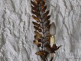 a light that is hanging on a wall next to a plant