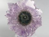 purple amethorate flower on clear acrylic stand on white background