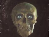 peinture représentant un crâne aux yeux bleus sur fond noir