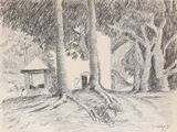 dessin au crayon représentant une maison dans un cadre boisé, avec des arbres et un banc