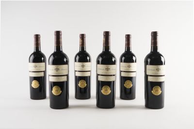 six bouteilles de vin sont alignées sur une surface blanche