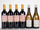 six bouteilles de vin sont alignées sur une surface blanche