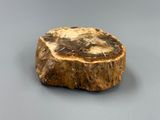 a piece of wood that is sitting on a table