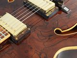 a close up of a guitar on a white surface