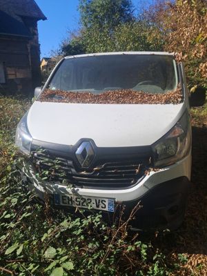 une camionnette blanche, avec des feuilles sur le capot, garée devant une maison