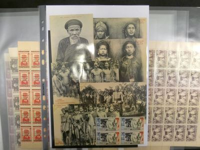 une vitrine sur laquelle sont exposés de nombreux timbres