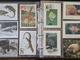 a lot of different animals on this page of a book