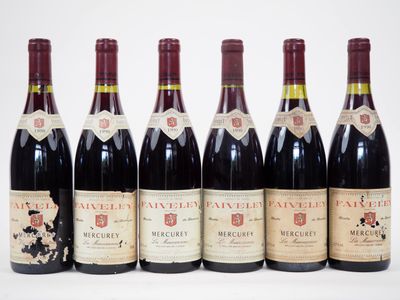 six bouteilles de vin alignées sur une surface blanche