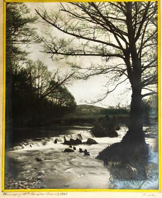 une photo en noir et blanc d'une rivière où l'on voit des canards
