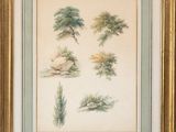 une image représentant un tableau représentant des arbres et des buissons, dans un cadre doré