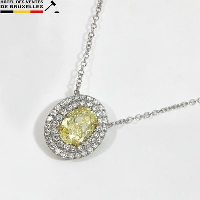 une photo d'un collier composé de diamants jaunes et blancs montés sur une chaîne