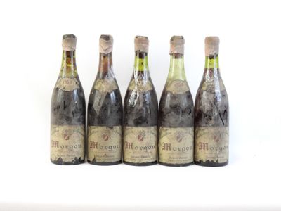 six bouteilles de vin sont alignées sur une surface blanche