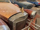 a bird sitting on the hood of an old car